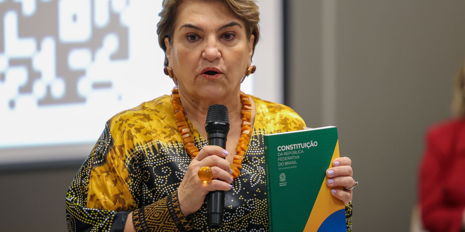 “Temos que agir”, diz ministra das mulheres sobre estupro no Rio